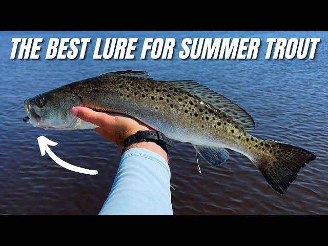 THIS Is The Best Soft Plastic Lure For Summer Trout