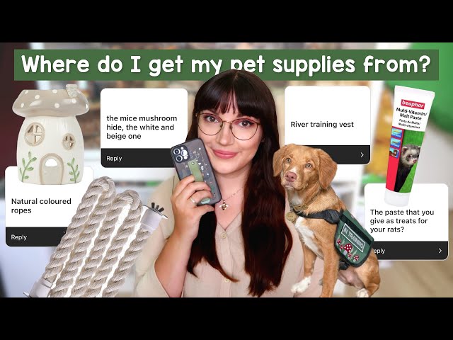 Where do I get all my pet supplies from? Q&A