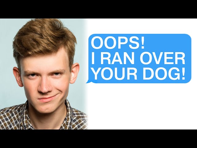 r/Prorevenge Run Over My Dog? I'LL RUIN YOUR LIFE!