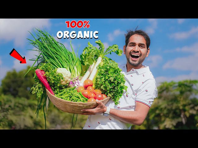 We Grow Organic Fruits And Vegetables - 100% Healthy