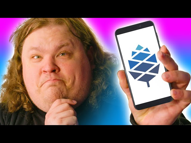 This $200 phone can do ANYTHING!!! - Pine64 Pinephone