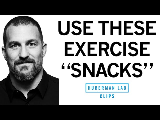 "Exercise Snacks" to Improve & Maintain Fitness | Dr. Andrew Huberman
