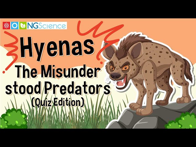 Hyenas: The Misunderstood Predators (Quiz Edition)