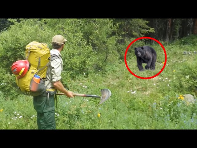 6 Bear Encounters You Don't Want to See (Part 2)