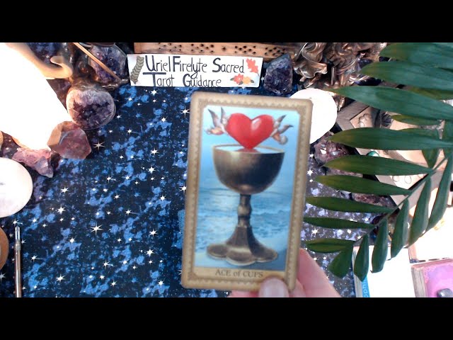 WEEKEND TAROT READING 21-23 Apr 2023 Lets Us SEE What WE Can Expect!!!