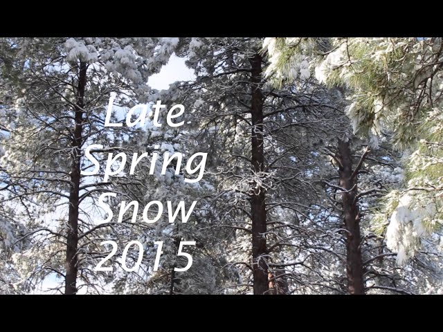 Late Spring Snow 2015