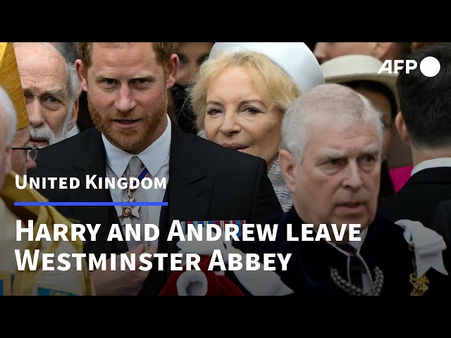 Prince Harry and Prince Andrew wait outside Westminster Abbey after Charles' Coronation | AFP