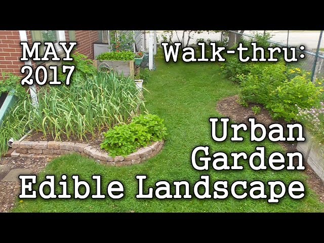 2017 May Urban Garden, Edible Landscaping -  Albopepper Memorial Weekend Walk-through Tour