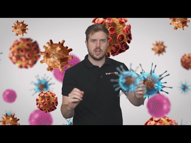 What's the Difference Between Viruses and Malware?