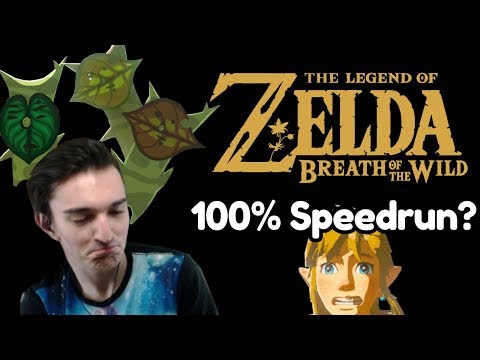 100% BotW Speedrun