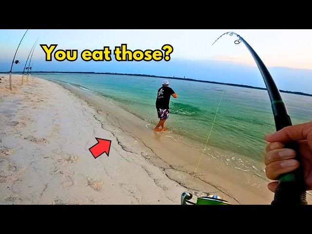 FISHING with CUT BAIT for MONSTERS! (Catch, Clean, and Cook)