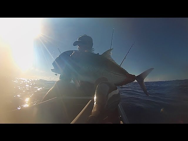 Giant Trevally + kayak reverse head-butt - Kayak Fishing off the Gold Coast