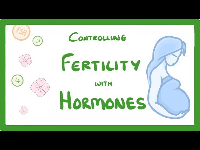 GCSE Biology - What is IVF? How Does IVF Work and What Are The Risks? IVF Explained  #62