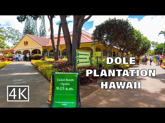[4K] Dole Pineapple Plantation - Oahu Hawaii - Walking Tour