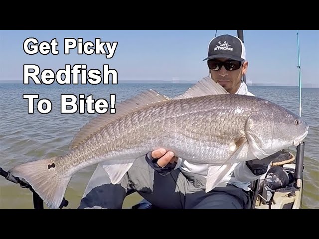 If Redfish Aren't Biting, Try This...