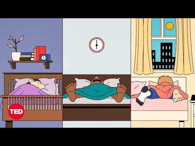 Do You Really Need 8 Hours of Sleep Every Night? | Body Stuff with Dr. Jen Gunter | TED