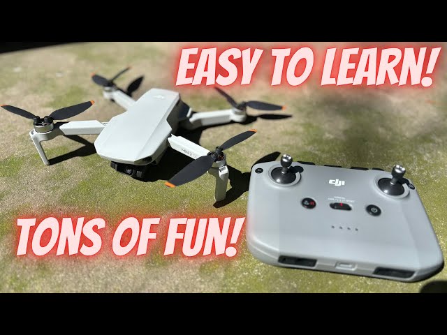 The best mini drone a new flyer can ask for DJI Mini 2 SE