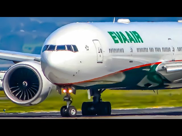 EXTREME CLOSE UP Landings and Take offs | B777 B787 A380 B737 | Auckland Airport Plane Spotting