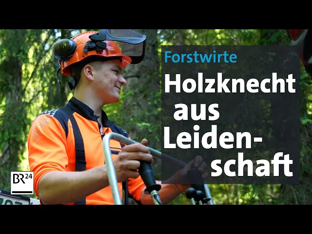 Knochenjob Holzknecht: Ausbildung und Arbeit im Wald | Abendschau Reportage | BR24