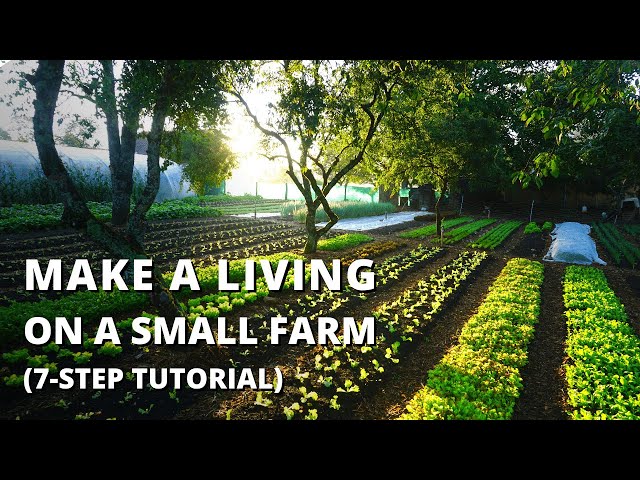 How to Start a Farm From Scratch (Beginner's Guide to Growing Vegetables for Profit)