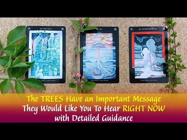 The Trees Have An Important Message That They Want You To Hear RIGHT NOW👉🌳📩🍃With Detailed Guidance👉🌳