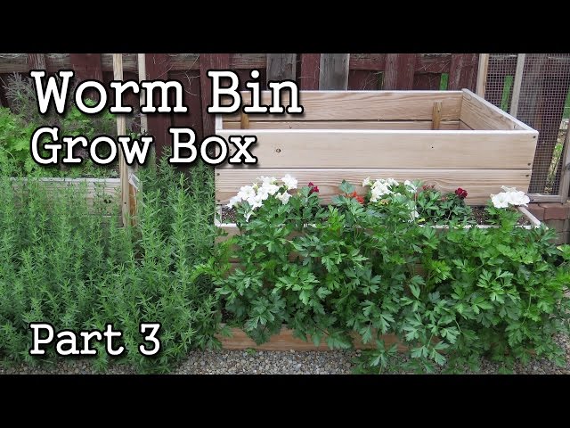 Compost Worm Bin / Grow Box Planter part 3  -Free Range Worms!