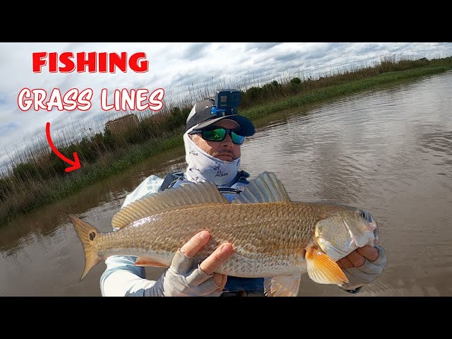 Pro Strategies For Catching More Fish Near Grass Lines