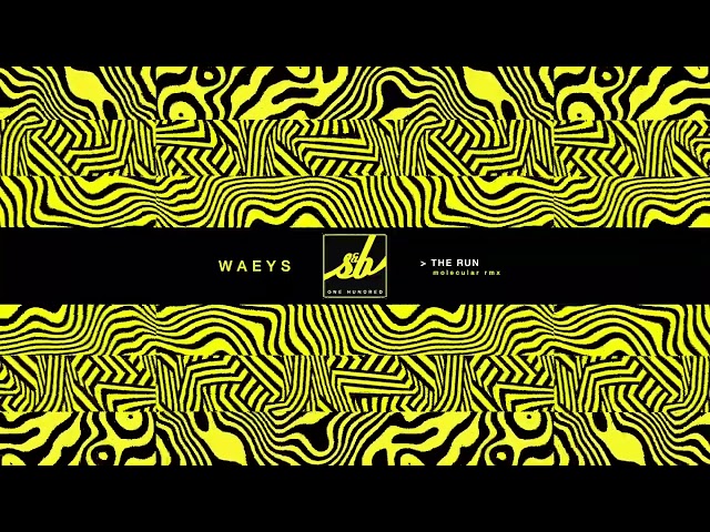 Waeys - The Run (Molecular Remix)
