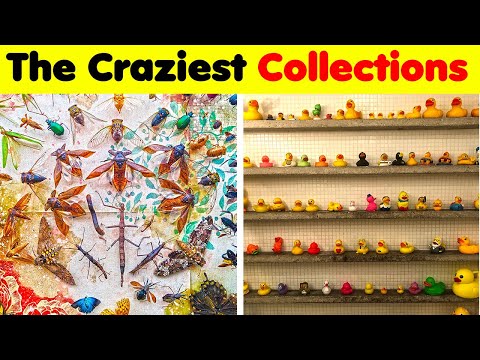 Odd Collections..