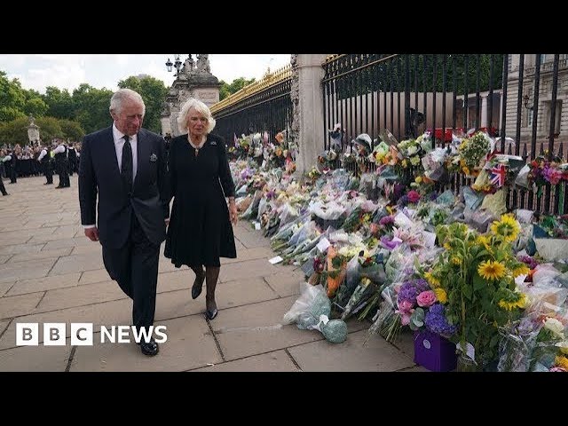 King Charles III meets crowds outside Buckingham Palace – BBC News