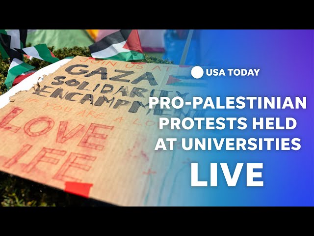 Watch: Pro-Palestinian protests at University of Southern California