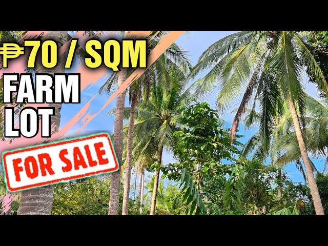 #73 cheapest lot for sale in Philippines