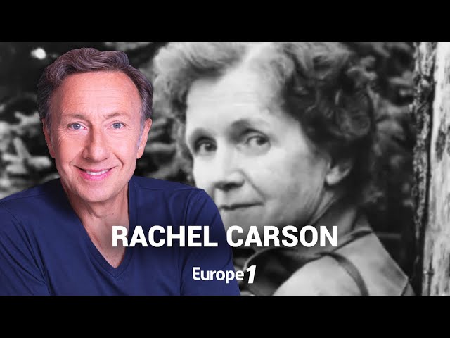 La véritable histoire de Rachel Carson, la lanceuse d'alerte écolo racontée par Stéphane Bern