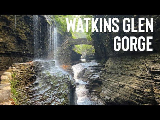 Alone in Watkins Glen State Park - Gorge Hike - 4K Virtual Walk - Slow TV