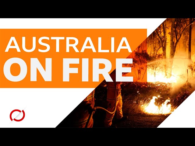 Why is Australia burning? - BBC My World