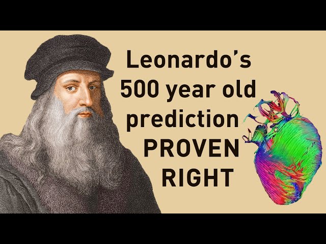 Leonardo da Vinci's theory about the heart was right