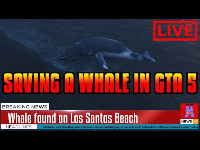 FRANKIN SAVES HUMPBACK WHALE [GTA 5 CHALLENGES]