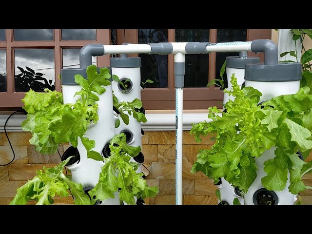 DIY: Vertical Hydroponic System using 4 Towers (Part 3) || hydroponic farming at home