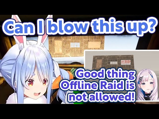 Reine was saved from being blown up by Pekora because she was offline【RUST/Hololive Clip/EngSub】