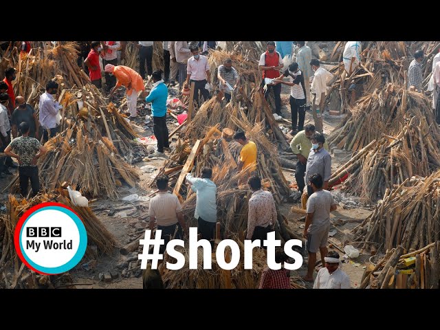 India’s Covid crisis in 5 images #shorts - BBC My World
