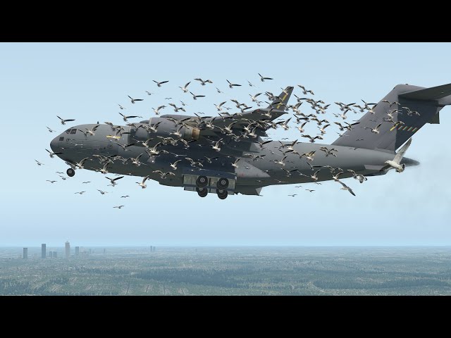C-17 Got Birdstrike and Engine Exploded When Landing