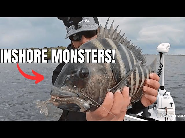 How To Rig Shrimp Lures To Catch MONSTER Inshore Fish