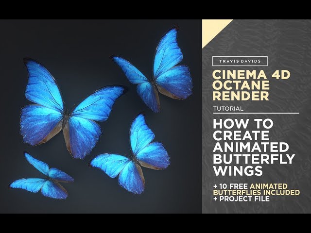 Cinema 4D and Octane Render - How To Create Animated Butterfly Wings