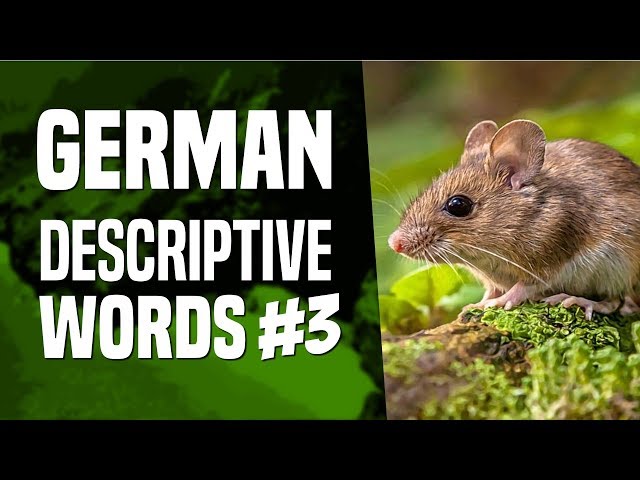 Learn German Vocabulary: Description Words (Part III) - Lesson #92 | OUINO.com