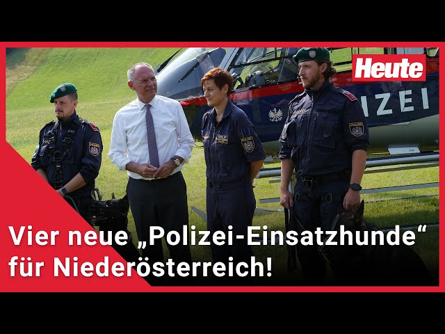 Vier neue „Polizei-Einsatzhunde“ für Niederösterreich!
