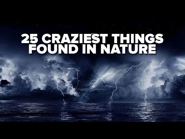 25 Craziest Things Found In Nature