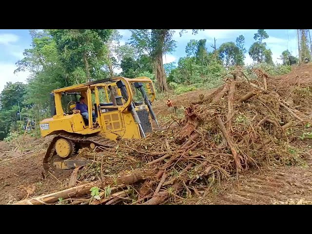 Advantages of D6R XL Bulldozer Technology in Palm Oil Clearing in the Mountains