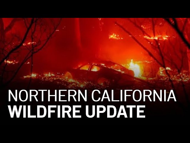 LIVE: Updates on California Wildfires, Evacuations [8/25 11 AM]