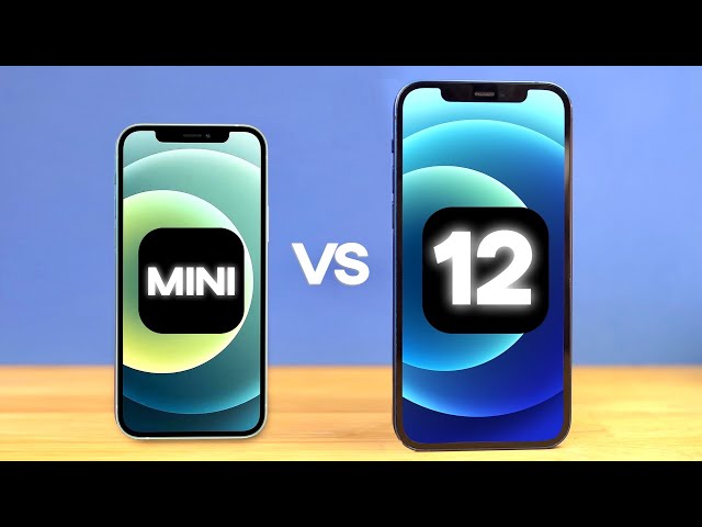 iPhone 12 mini vs 12 in 2024!