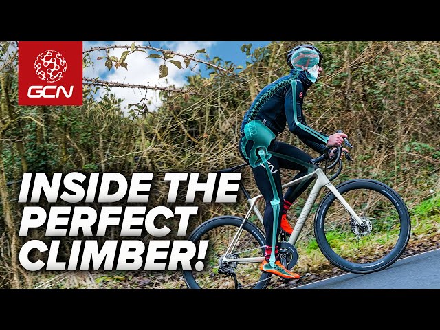 The Anatomy Of The Perfect Climber